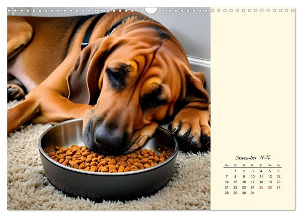 Produktbild: Bloodhound - M&auml;chtige Sp&uuml;rnase (Wandkalender 2026 DIN A3 quer), CALVENDO Monatskalender