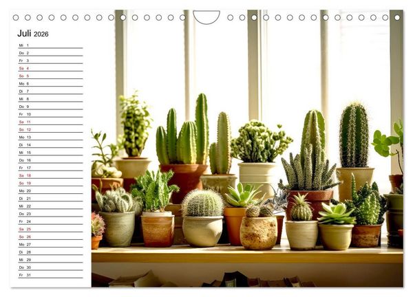Produktbild: Kaktuszauberland (Wandkalender 2026 DIN A4 quer), CALVENDO Monatskalender