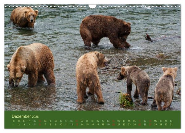 Produktbild: Der B&auml;renkalender 2026 CH-Version (Wandkalender 2026 DIN A3 quer), CALVENDO Monatskalender