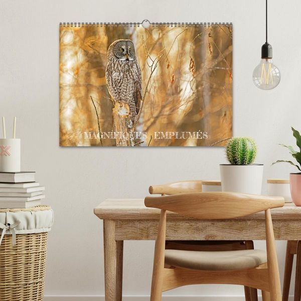 Produktbild: Magnifiques Emplum&eacute;s (Calendrier mural 2026 DIN A3 vertical), CALVENDO calendrier mensuel