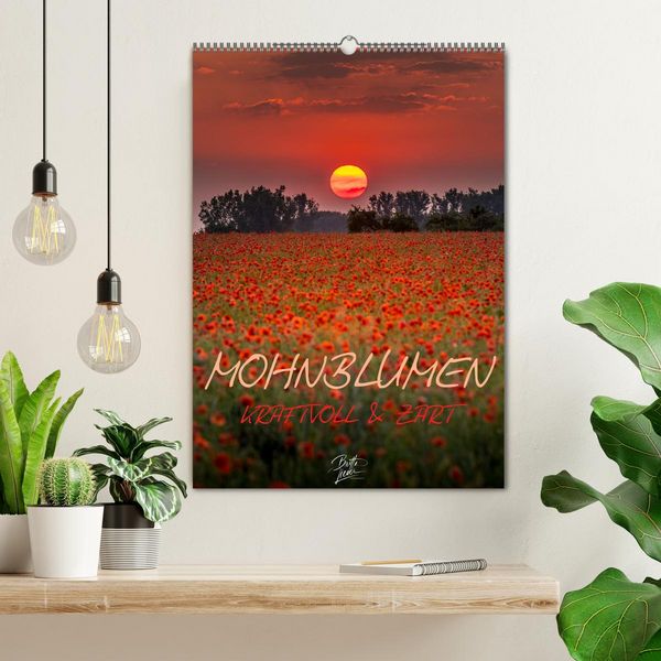 Produktbild: Mohnblumen - kraftvoll und zart (Wandkalender 2026 DIN A2 hoch), CALVENDO Monatskalender