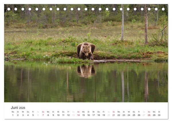 Produktbild: Naturparadies Finnland (Tischkalender 2026 DIN A5 quer), CALVENDO Monatskalender