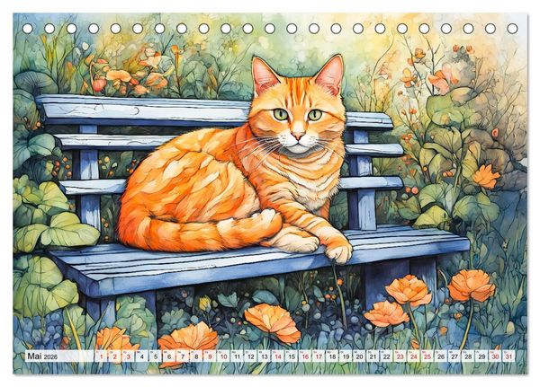 Produktbild: Katzenzauber - Katzenkalender mit stimmungsvollen Bildern (Tischkalender 2026 DIN A5 quer), CALVENDO Monatskalender