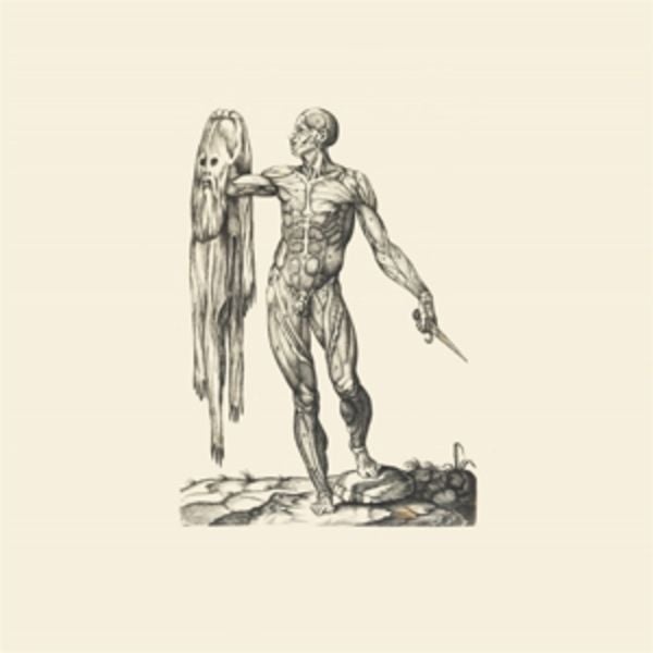 Observation of Breath