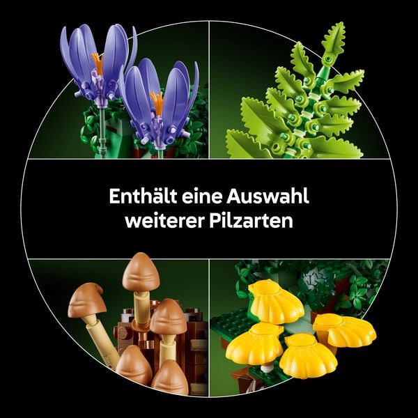 Produktbild: LEGO Botanicals 11505 Waldpilze, Modellbau f&uuml;r Erwachsene