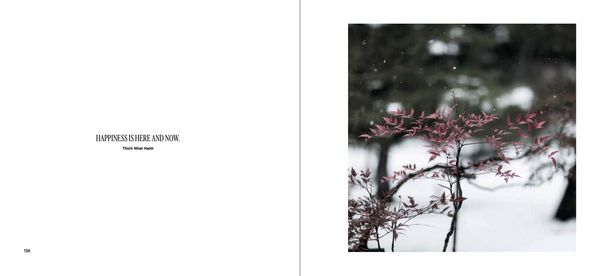 Produktbild: The Magic of Japanese Zen Gardens