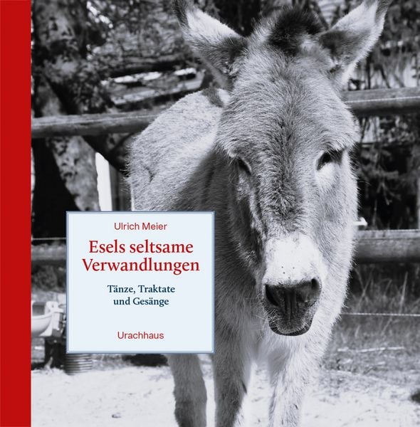 Esels seltsame Verwandlungen, Gebundene Ausgabe von Ulrich Meier, Urachhaus, 9783825154431