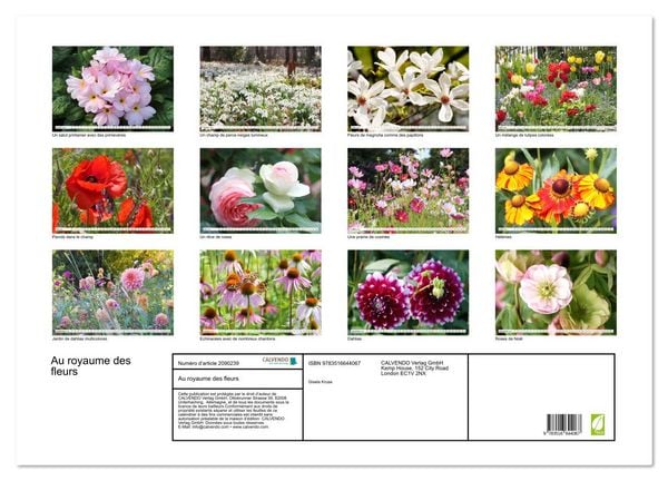 Produktbild: Au royaume des fleurs (Calendrier mural 2026 DIN A2 vertical), CALVENDO calendrier mensuel