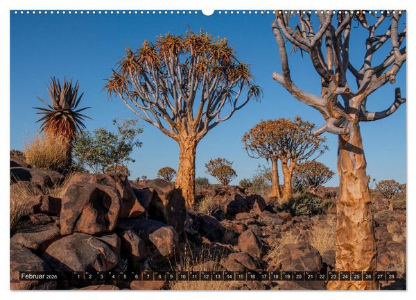 Produktbild: Zwischen Namib und Kalahari (hochwertiger Premium Wandkalender 2026 DIN A2 quer), Kunstdruck in Hochglanz