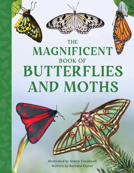 Produktbild: The Magnificent Book of Butterflies and Moths