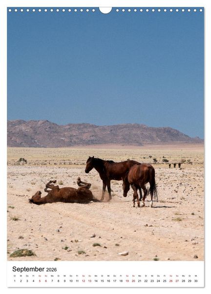 Produktbild: Naturparadies Namibia (Wandkalender 2026 DIN A3 hoch), CALVENDO Monatskalender