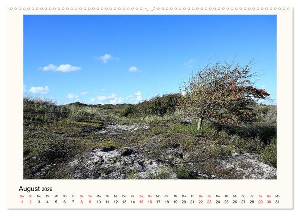 Produktbild: Borkum - Ruhig inmitten der Wogen (hochwertiger Premium Wandkalender 2026 DIN A2 quer), Kunstdruck in Hochglanz