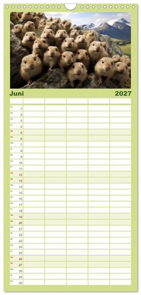 Produktbild: Familienplaner 2027 - Nach Art der Lemminge mit 5 Spalten (Wandkalender, 21 x 45 cm) CALVENDO