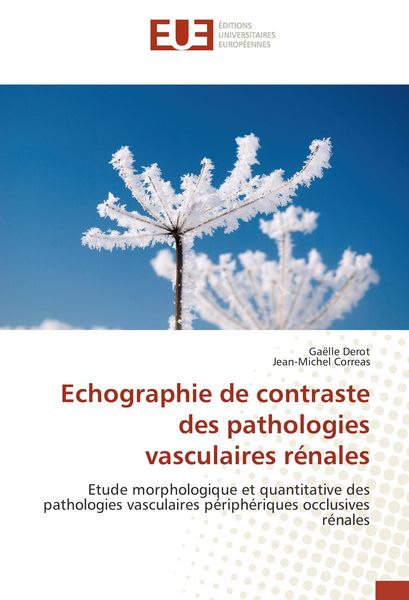 Produktbild: Echographie de contraste des pathologies vasculaires r&eacute;nales