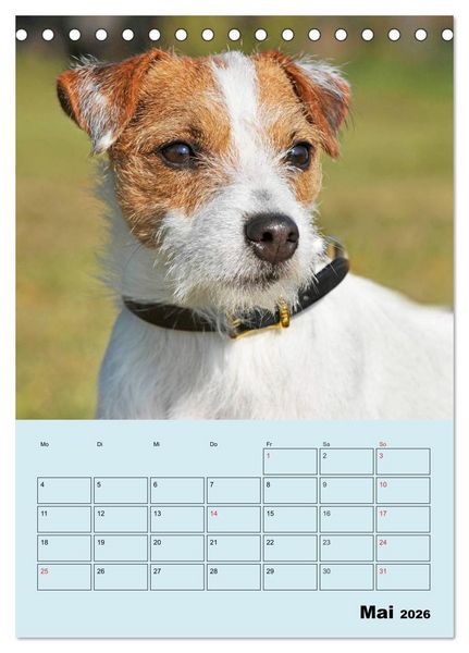 Produktbild: Familienplaner Jack und Parson Russell Terrier (Tischkalender 2026 DIN A5 hoch), CALVENDO Monatskalender