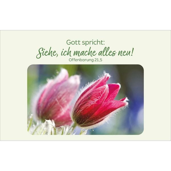 Produktbild: Bl&uuml;tenreiche Bibelverse