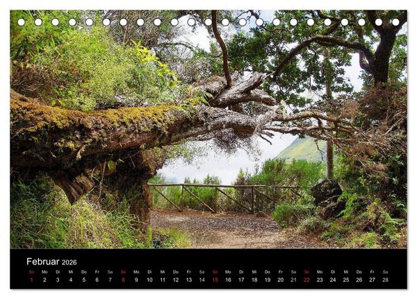 Produktbild: Madeira die Gr&uuml;ne Insel (Tischkalender 2026 DIN A5 quer), CALVENDO Monatskalender