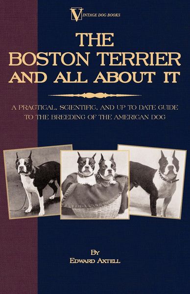 Produktbild: The Boston Terrier and All about It: A Practical, Scientific, and Up to Date Guide to the Breeding of the American Dog