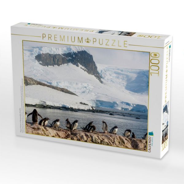 Produktbild: CALVENDO Puzzle Pinguin Kolonie im Naturparadies Antarktis | 1000 Teile Lege-Gr&ouml;&szlig;e 64x48cm Foto-Puzzle f&uuml;r gl&uuml;ckliche Stunden