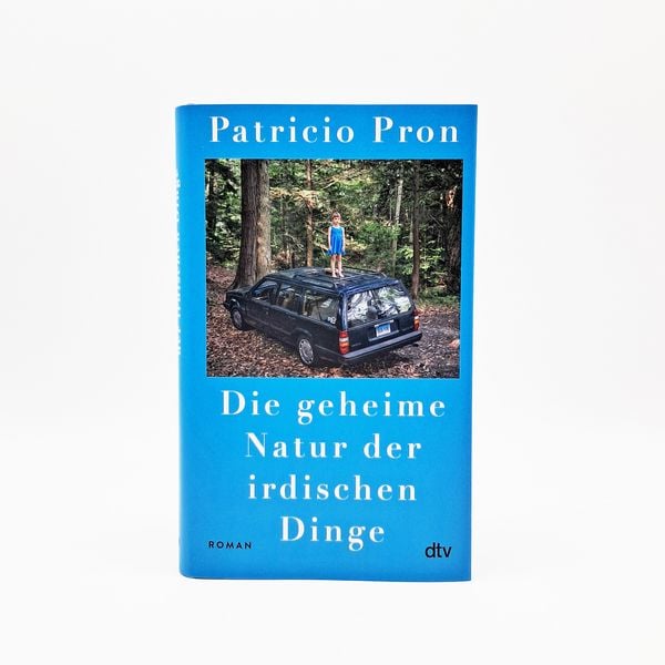 Produktbild: Die geheime Natur der irdischen Dinge