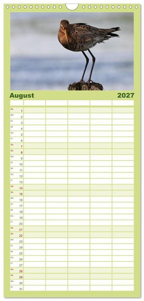 Produktbild: Familienplaner 2027 - Die bedrohten Uferschnepfen mit 5 Spalten (Wandkalender, 21 x 45 cm) CALVENDO