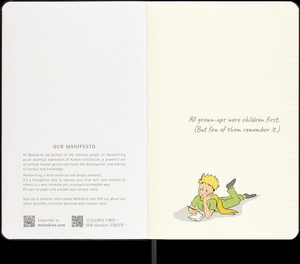 Produktbild: Moleskine der kleine Prinz Sammlerbox, liniertes Notizbuch L/A5 schwarz, undatierter 12-Monats-Notizkalender L/A5 fester Einband grau