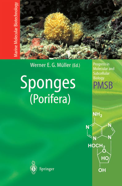 Produktbild: Sponges (Porifera)