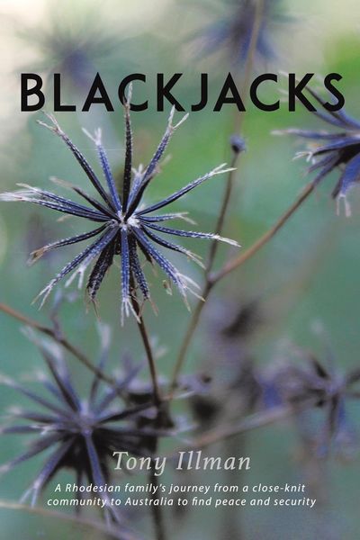 Produktbild: Blackjacks