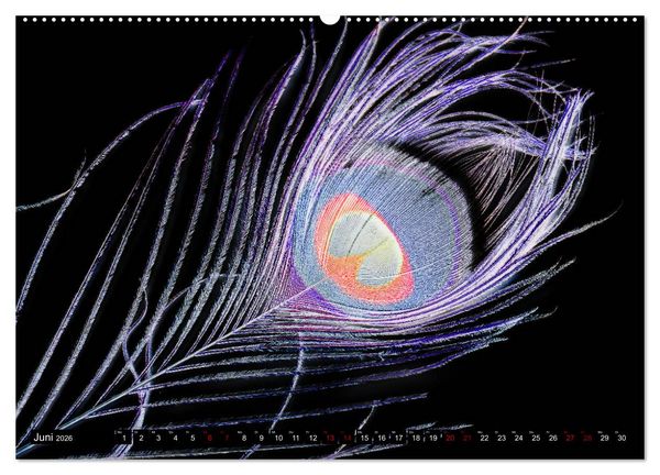 Produktbild: Federleichte Momente (hochwertiger Premium Wandkalender 2026 DIN A2 quer), Kunstdruck in Hochglanz