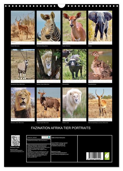 Produktbild: FAZINATION AFRIKA TIER PORTRAITS (Wandkalender 2026 DIN A3 hoch), CALVENDO Monatskalender