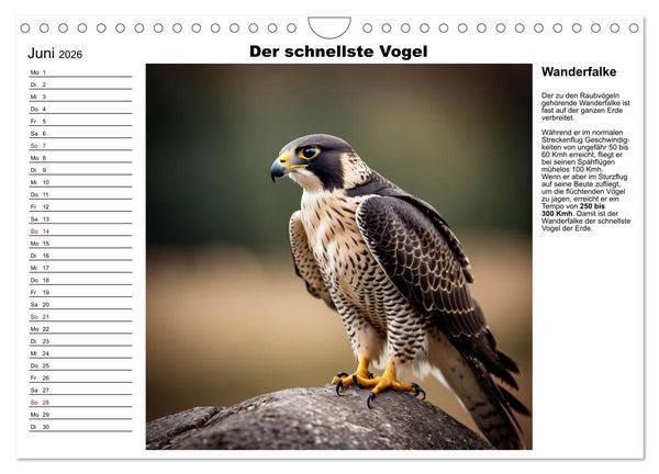 Produktbild: Tierische Rekorde (Wandkalender 2026 DIN A4 quer), CALVENDO Monatskalender