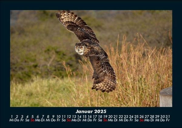 Produktbild: Welt der V&ouml;gel 2025 Fotokalender DIN A5
