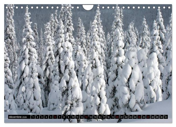 Produktbild: GASP&Eacute;SIE. Parc National du Qu&eacute;bec (Calendrier mural 2026 DIN A4 vertical), CALVENDO calendrier mensuel