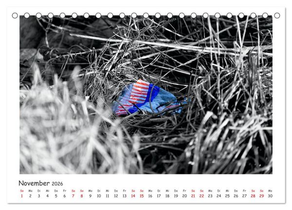 Produktbild: Gestrandet -Treibgut- (Tischkalender 2026 DIN A5 quer), CALVENDO Monatskalender