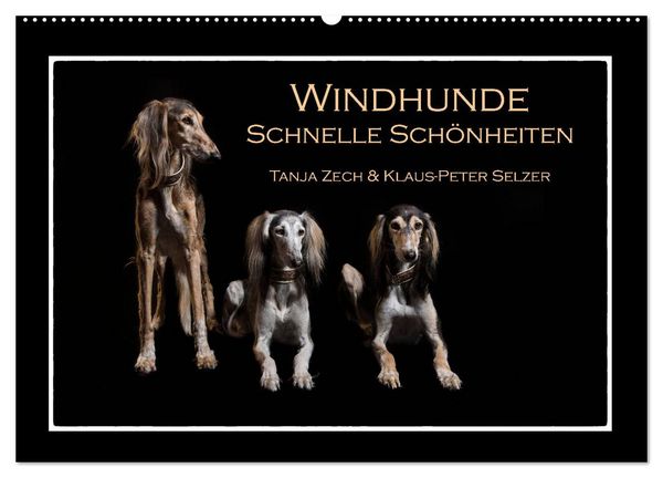 Produktbild: Windhunde - Schnelle Sch&ouml;nheiten (Wandkalender 2026 DIN A2 quer), CALVENDO Monatskalender
