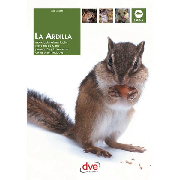 Produktbild: La ardilla