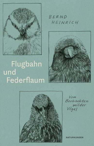 Flugbahn und Federflaum, Gebundene Ausgabe von Bernd Heinrich, Matthes & Seitz, 9783751802161