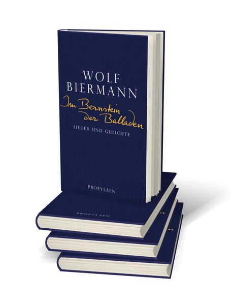 Produktbild: Im Bernstein der Balladen