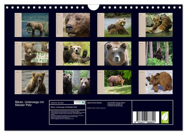 Produktbild: B&auml;ren. Unterwegs mit Meister Petz (Wandkalender 2026 DIN A4 quer), CALVENDO Monatskalender