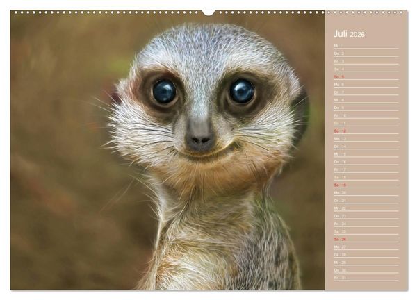 Produktbild: S&uuml;sse Tierwelt / CH-Version / Geburtstagskalender (hochwertiger Premium Wandkalender 2026 DIN A2 quer), Kunstdruck in Hochglanz