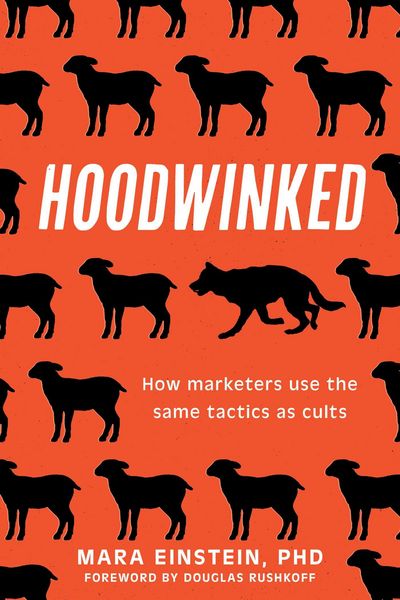 Produktbild: Hoodwinked