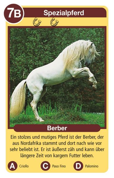 Produktbild: Tierquartett Pferde - Kartenspiel ab 4 Jahre