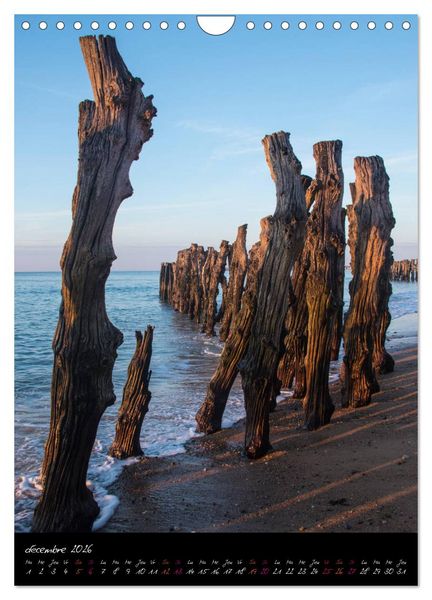 Produktbild: Portraits de Saint-Malo (Calendrier mural 2026 DIN A4 horizontal), CALVENDO calendrier mensuel