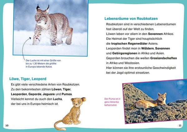 Produktbild: WAS IST WAS Erstes Lesen Leser&auml;tsel. Raubkatzen