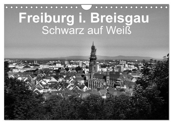 Freiburg i. Breisgau Schwarz auf Weiß (Wandkalender 2026 DIN A4 quer), CALVENDO Monatskalender