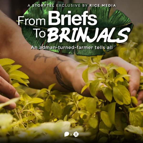 Produktbild: Madman Who Left His 5-figure Advertising Job To Become A Farmer, The