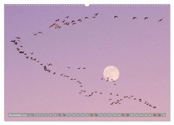 Produktbild: Vollmond - Momente der Ruhe (Wandkalender 2026 DIN A2 quer), CALVENDO Monatskalender