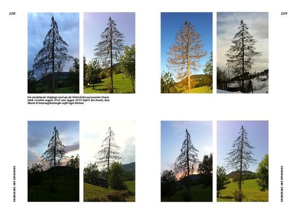 Strategien der Natur