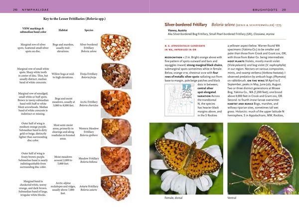 Produktbild: Butterflies of the Pacific Northwest
