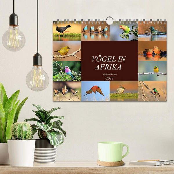 Produktbild: V&ouml;gel in Afrika - Magie der Farben (Wandkalender 2027 DIN A4 quer), CALVENDO Monatskalender